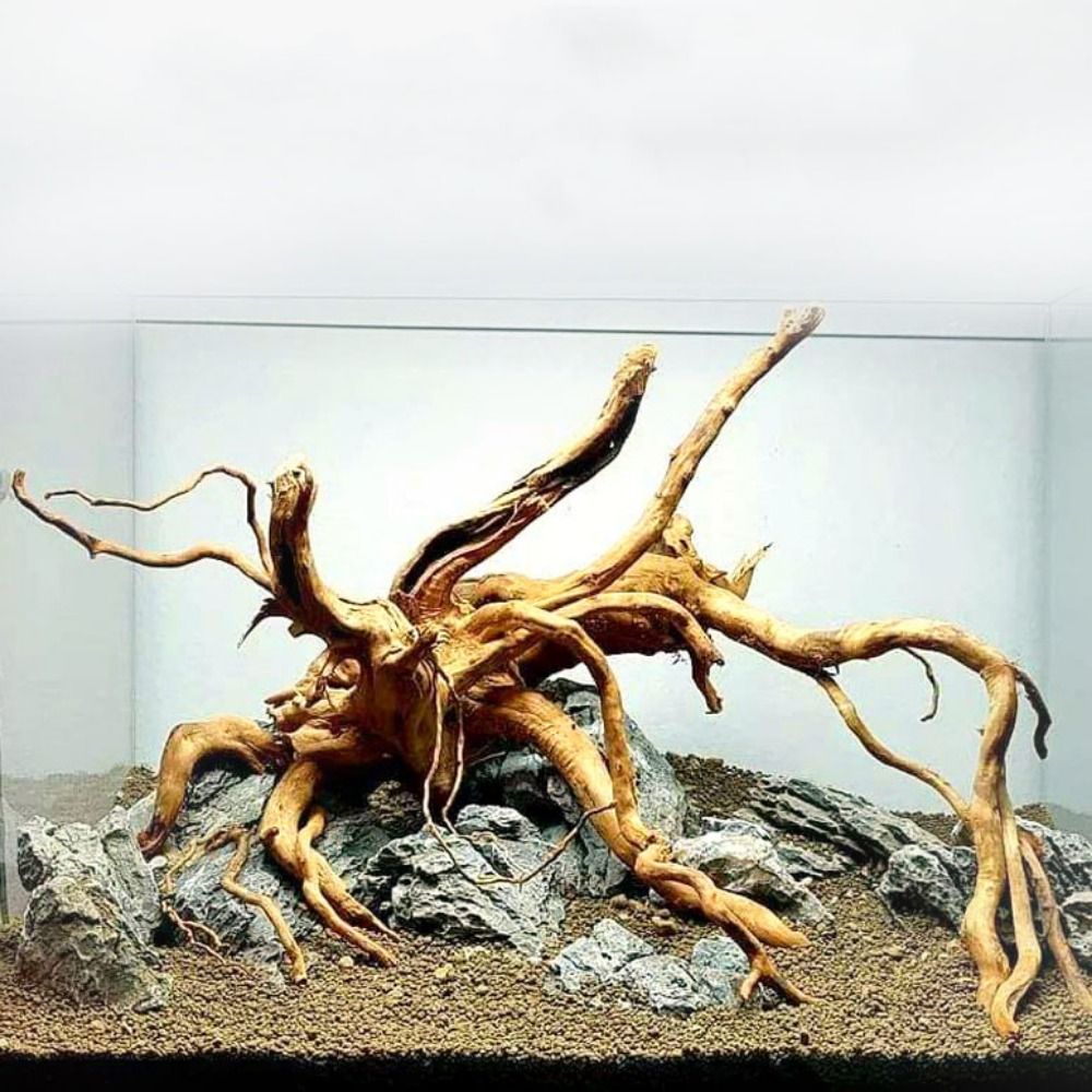 Aquarium Planted Tree - Pohon alami dekorasi akuarium kayu karya