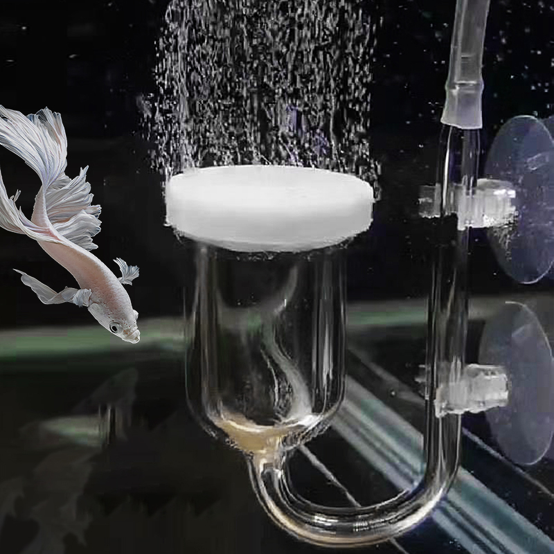Aquarium Lily Pipe - Pompa udara kaca pompa udara batu