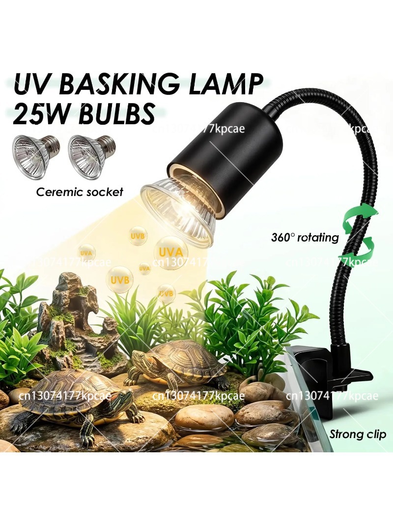 Kit Akuarium Turtle Tank PC de - Planted Aquarium Starter Kit ulasan dan harga