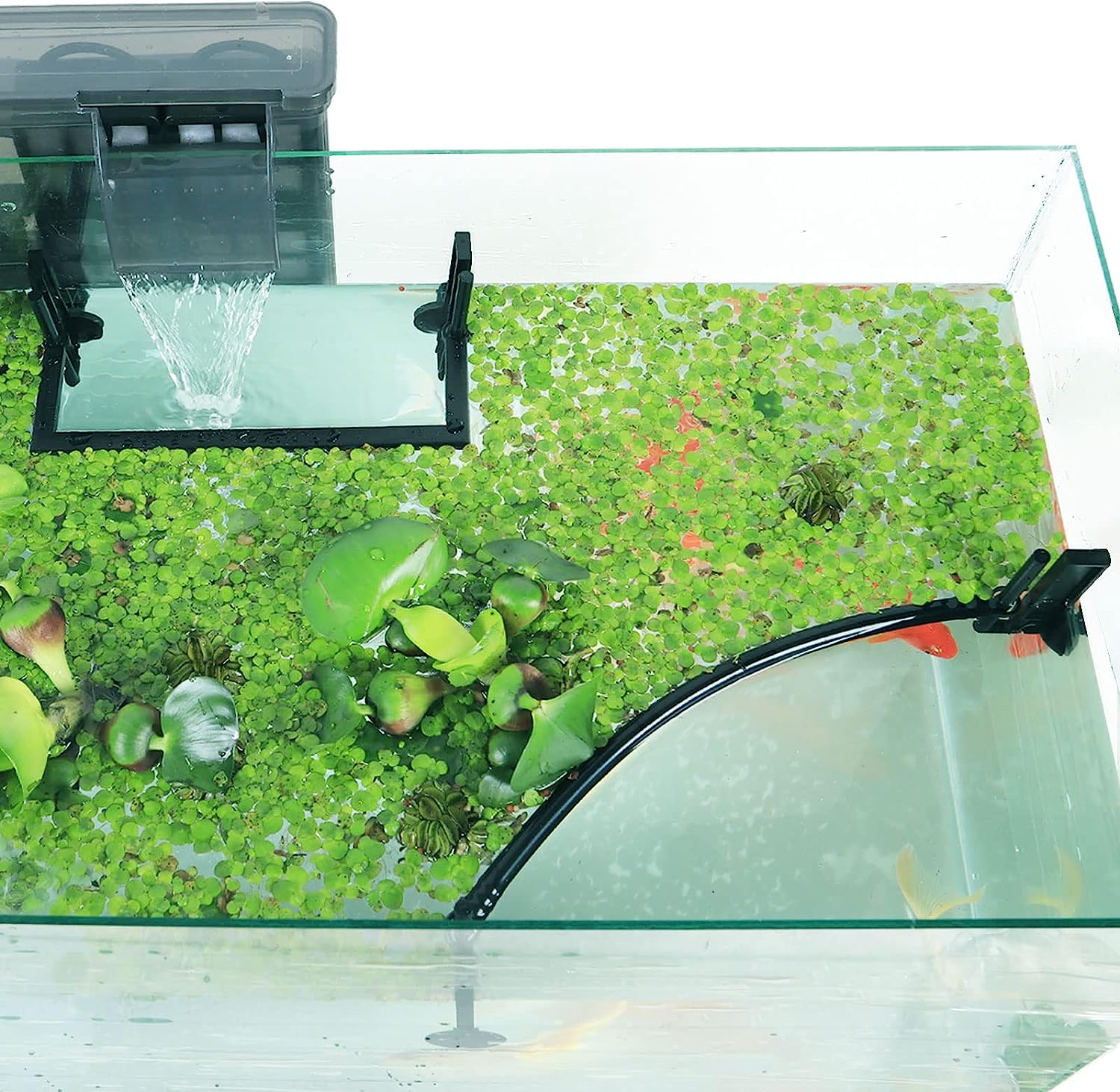 Aquarium Floating tanaman Corr - Planted Aquarium Heater ulasan dan harga