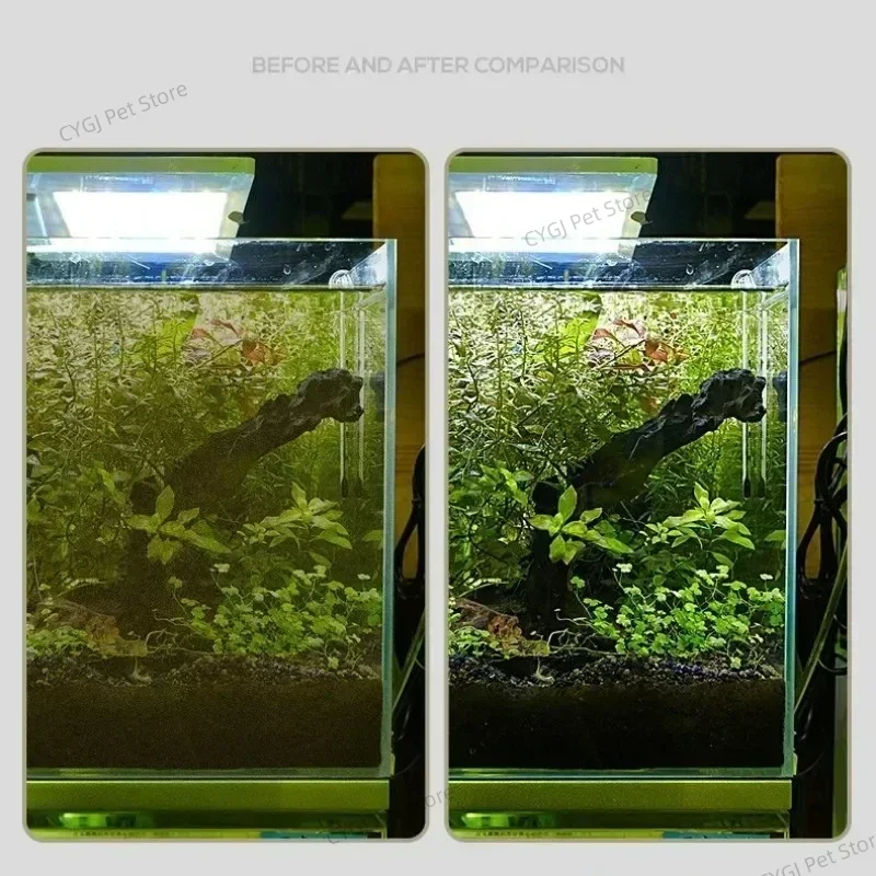 Alat Pembersih Tangki Ikan Pen - Planted Aquarium Tool Kit ulasan dan harga
