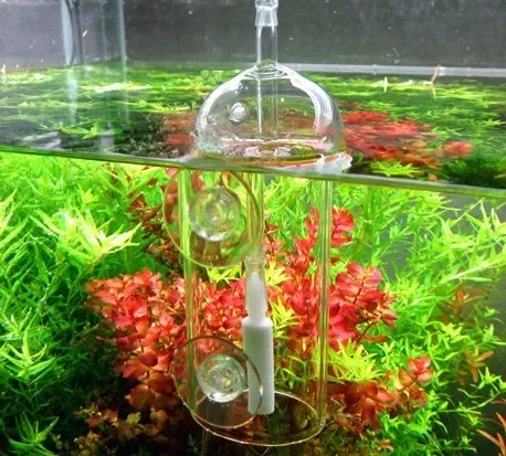 VIV Do perangkat akuarium kaca - Aquarium Lily Pipe ulasan dan harga