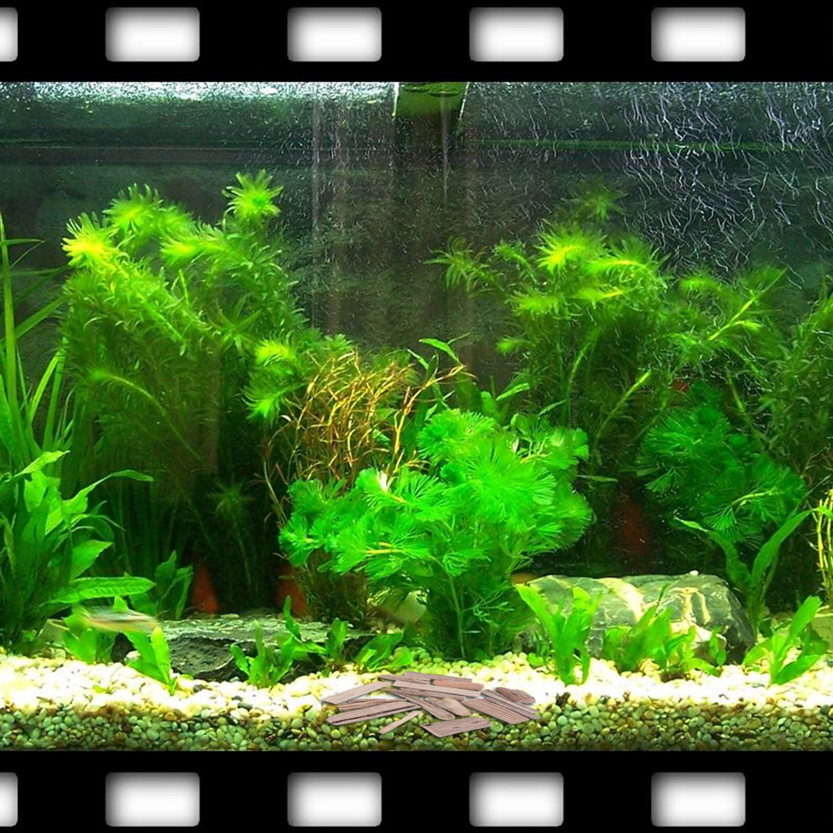 30 Buah Dekorasi Tangki Ikan K - Planted Aquarium Ph ulasan dan harga