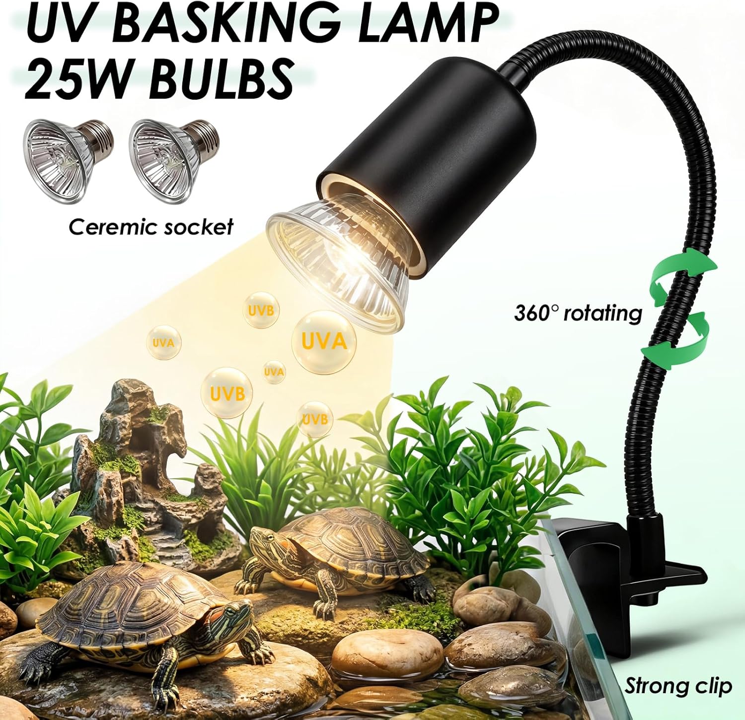 Paket Pemula Akuarium Kura-Kur - Planted Aquarium Starter Kit ulasan dan harga