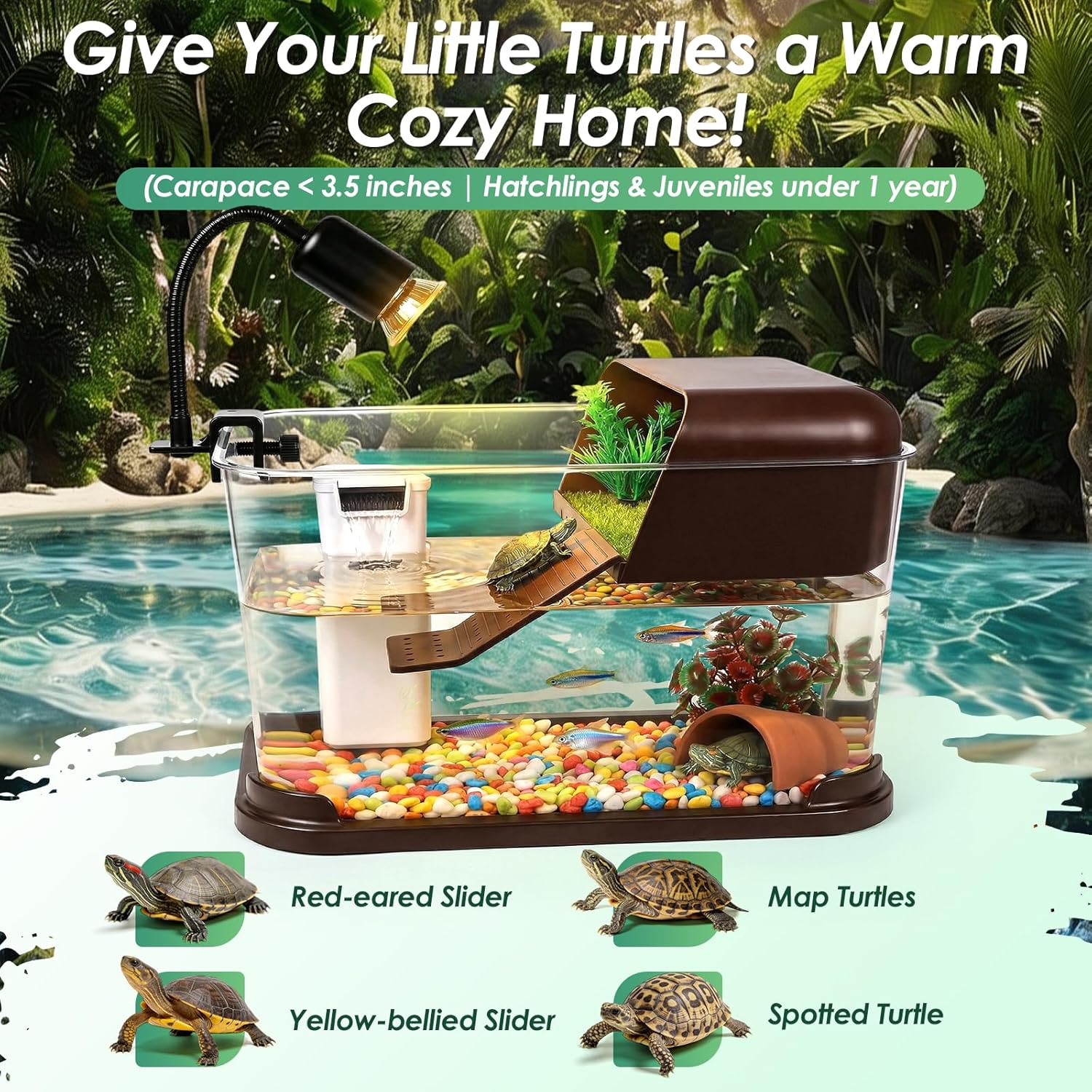 Paket Pemula Akuarium Kura-Kur - Planted Aquarium Starter Kit ulasan dan harga