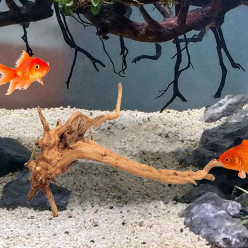 Pohon alami dekorasi akuarium  - Aquarium Planted Tree ulasan dan harga