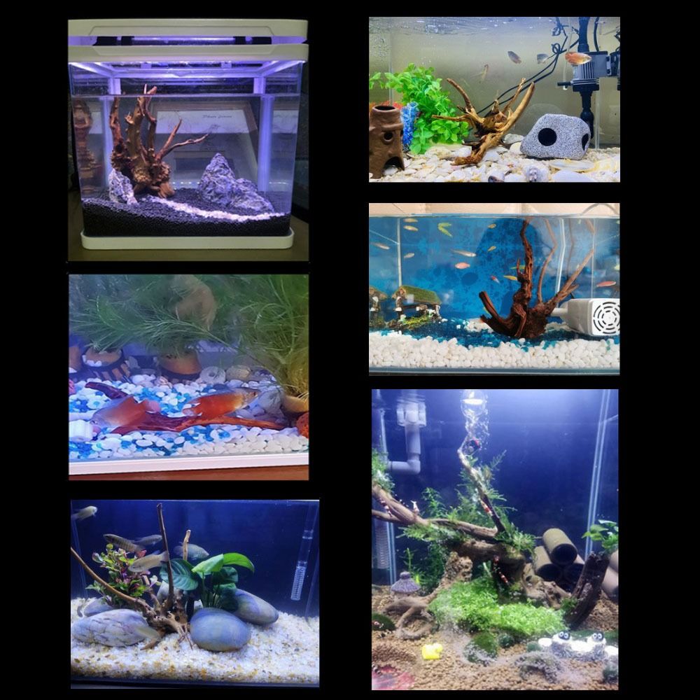 Pohon alami dekorasi akuarium  - Aquarium Planted Tree ulasan dan harga