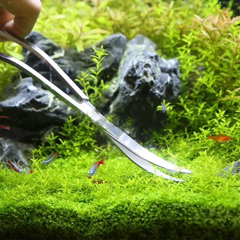 Gunting akuarium, peralatan ta - Planted Aquarium Tool Kit ulasan dan harga
