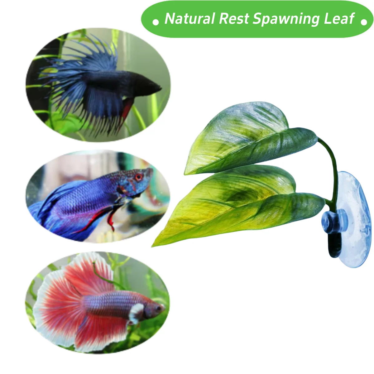 Dekorasi Akuarium Ikan Hias, T - Aquarium Planted Tree ulasan dan harga