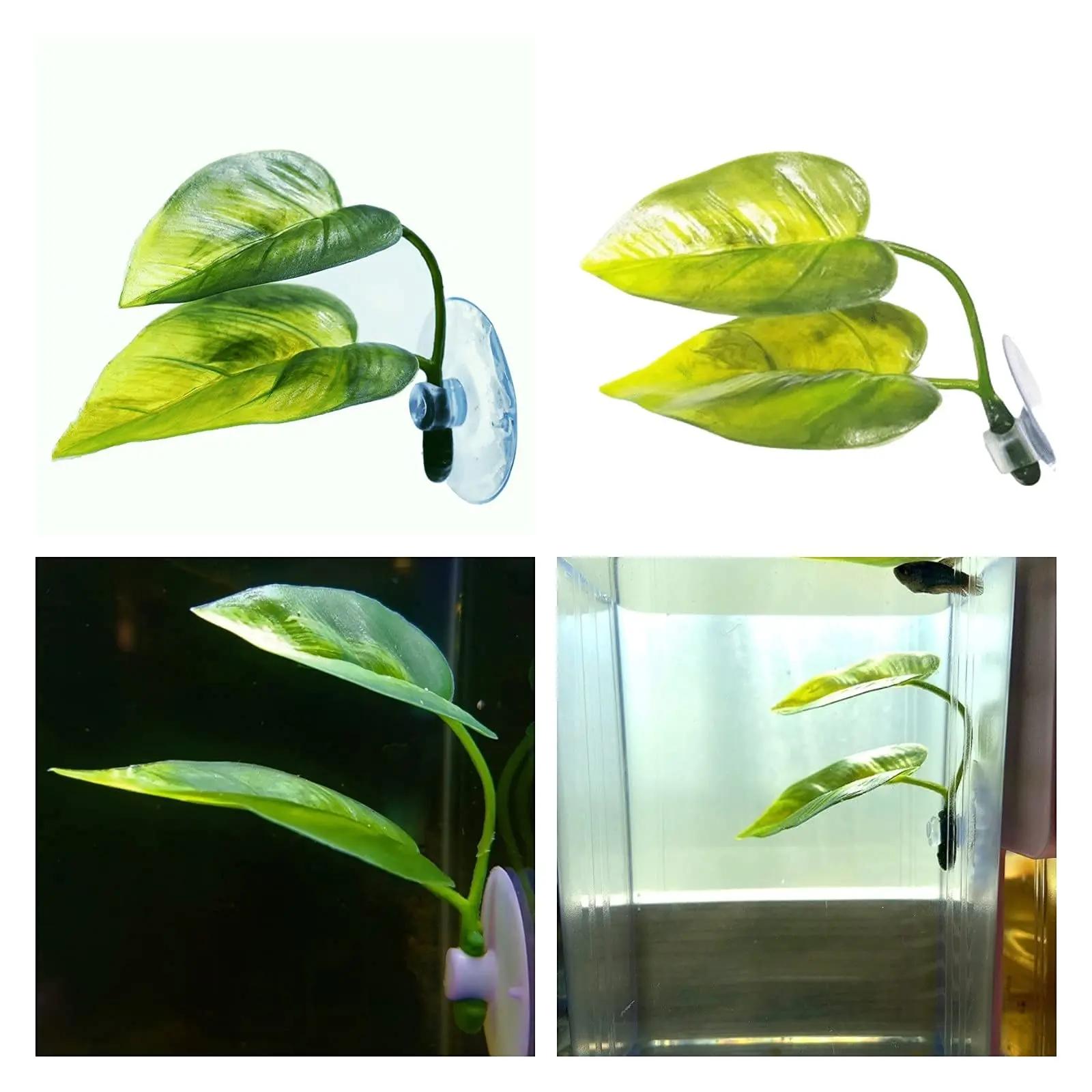 Dekorasi Akuarium Ikan Hias, T - Aquarium Planted Tree ulasan dan harga