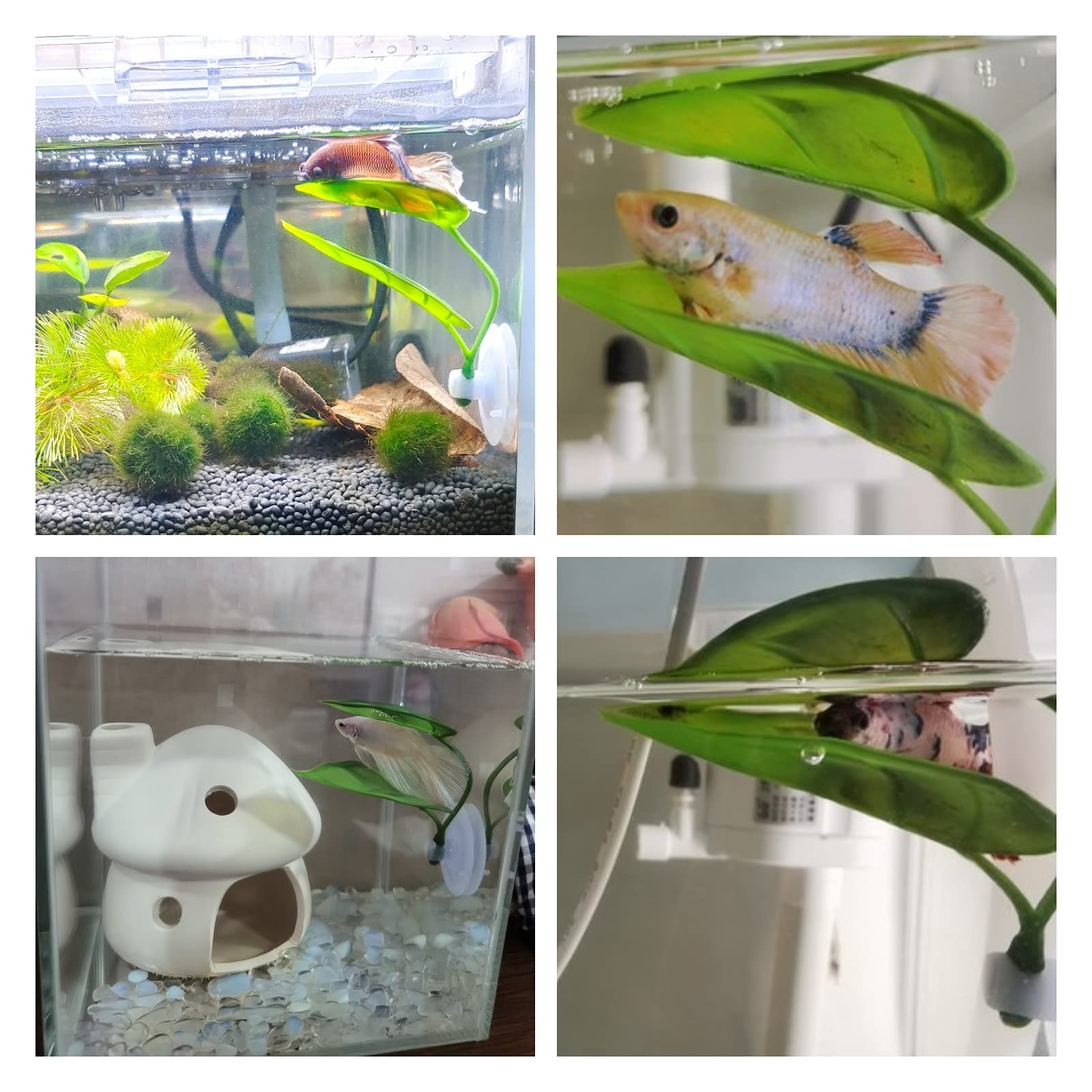 Dekorasi Akuarium Ikan Hias, T - Aquarium Planted Tree ulasan dan harga