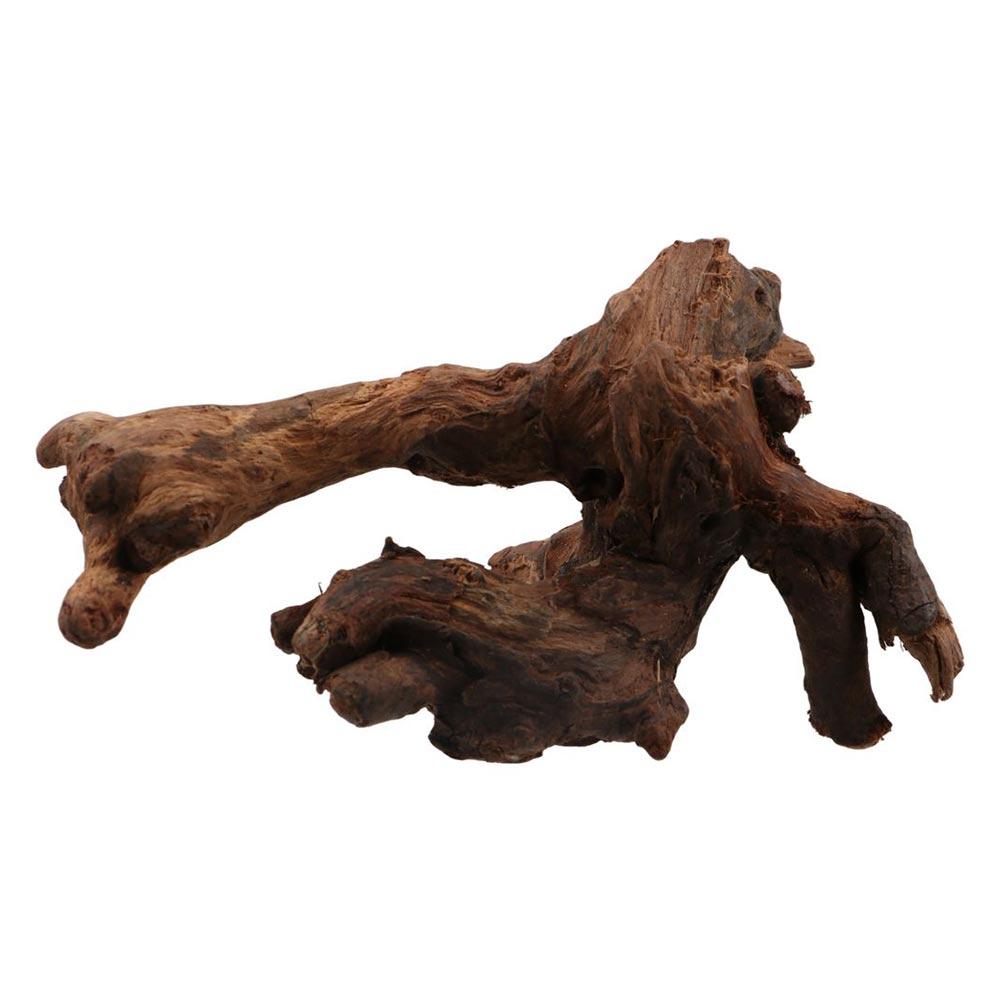 Kayu Karang Bentuk Tidak Berat - Aquarium Planted Tree ulasan dan harga
