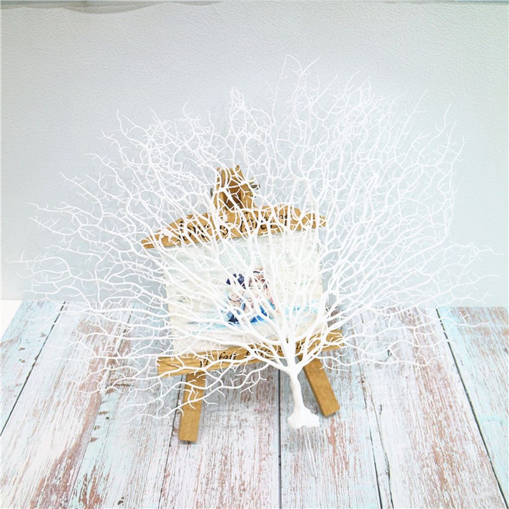 Hadiah Hari Valentine Akuarium - Aquarium Planted Tree ulasan dan harga