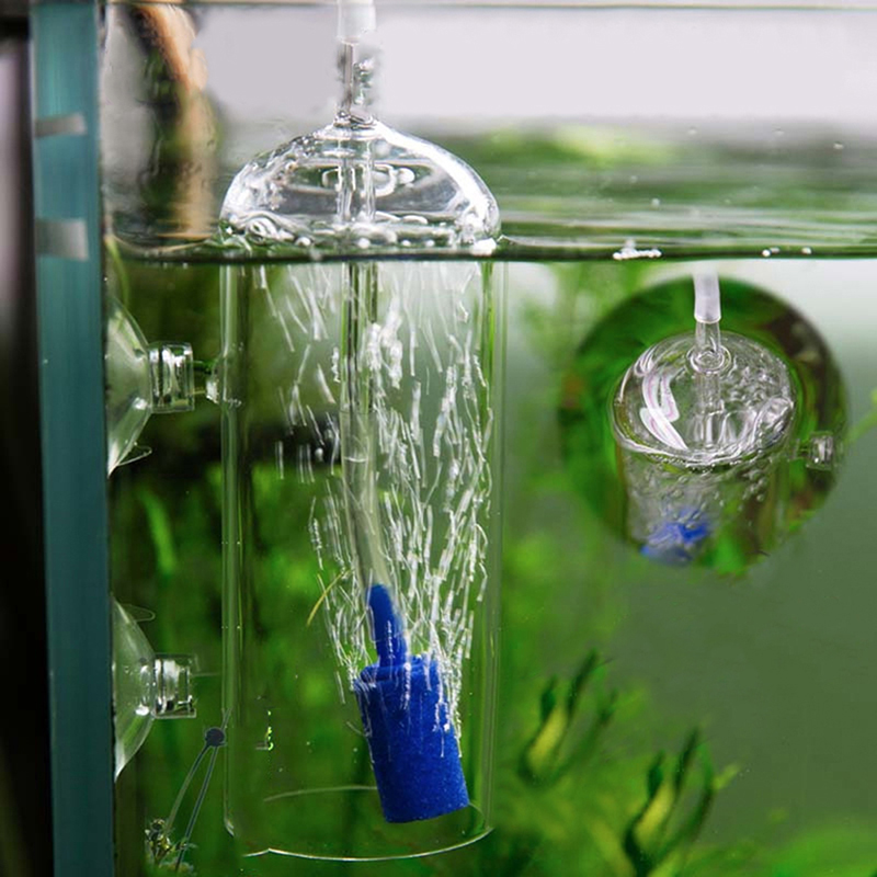 5 buah akuarium bentuk silinde - Aquarium Lily Pipe ulasan dan harga