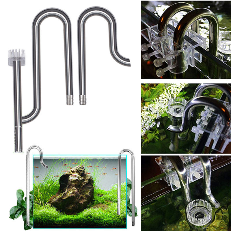 Baru Tangki Ikan Lily Pipa Baj - Aquarium Lily Pipe ulasan dan harga