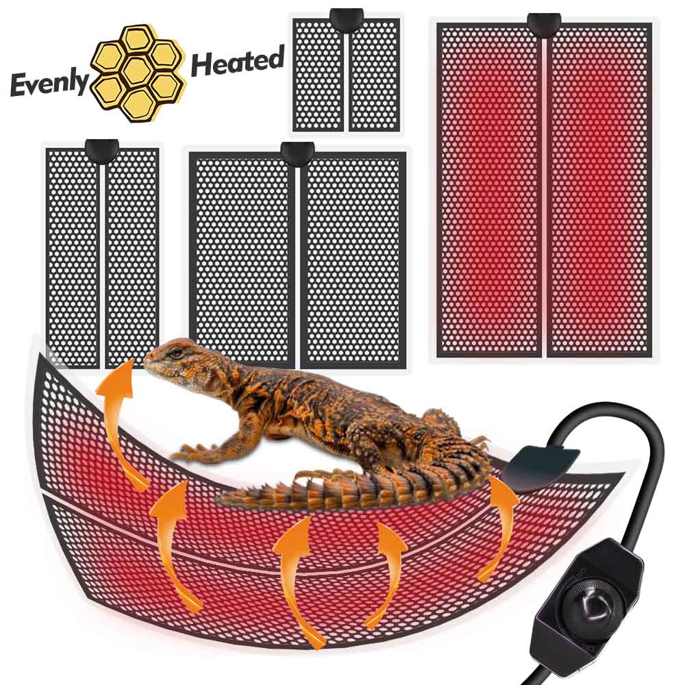 5-20w matras panas reptil bant - Planted Aquarium Heater ulasan dan harga