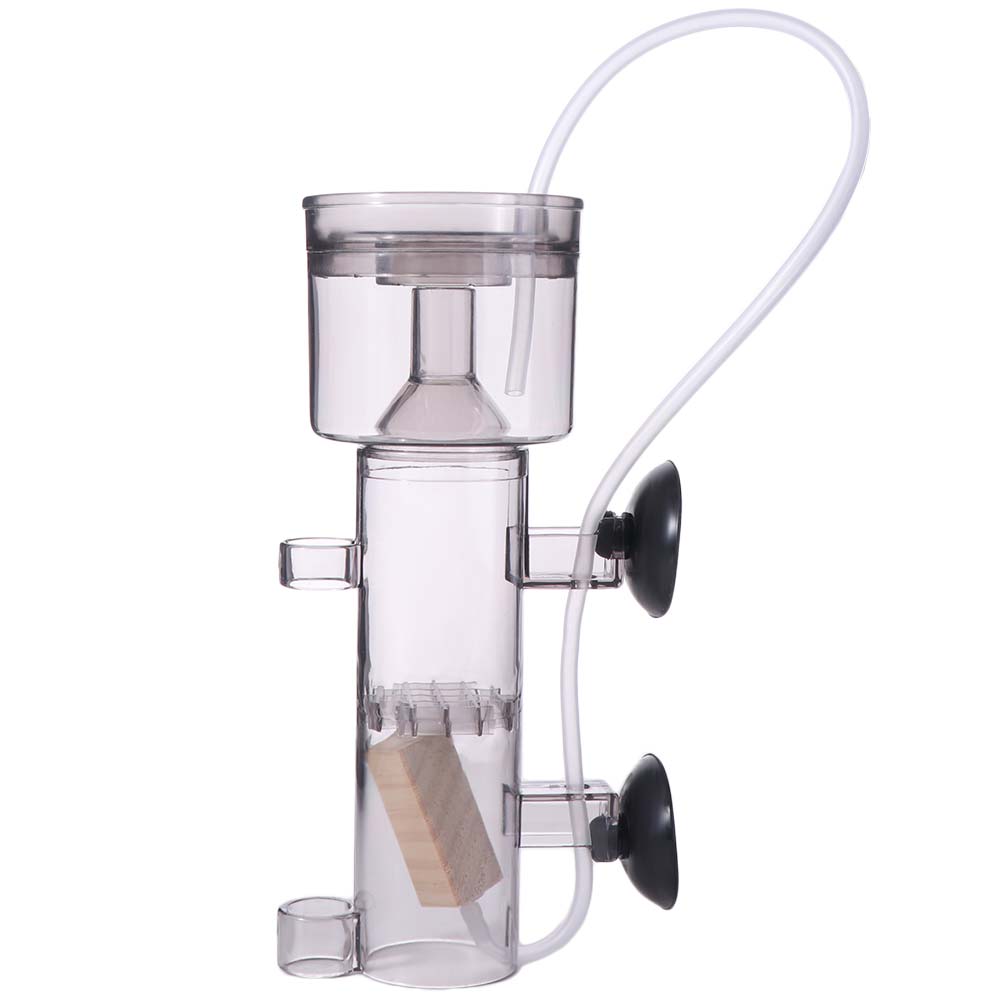 Pemisah Protein Akuarium Sucti - Aquarium Lily Pipe ulasan dan harga