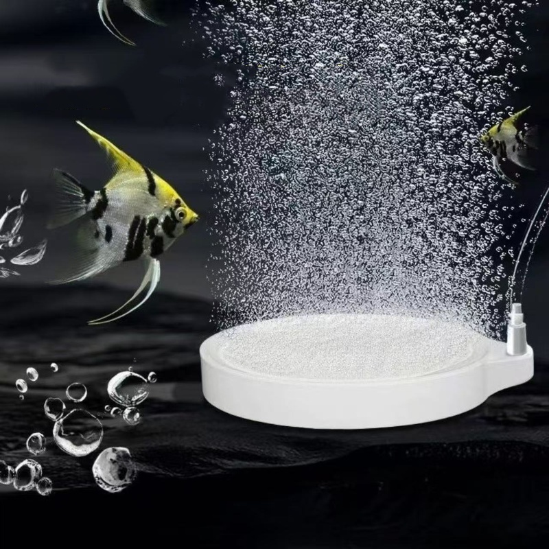 Nano Disc Air Stone Oxygen Aer - Aquarium Lily Pipe ulasan dan harga